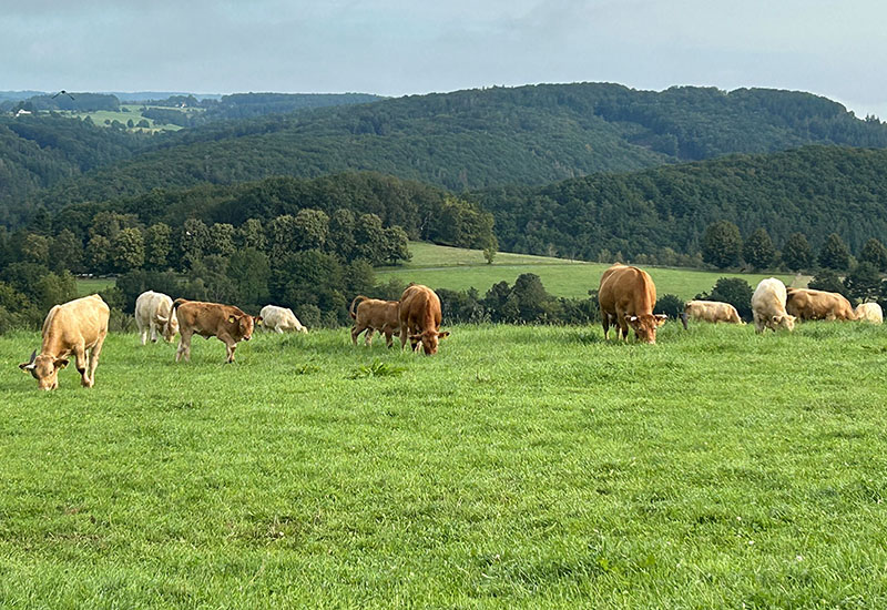 Hof_Froehling_Ferienappartement_01_800x550px