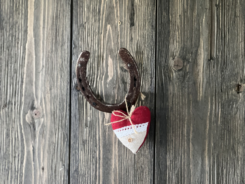 Hof_Fröhling_Impressionen_Pferdepension_08