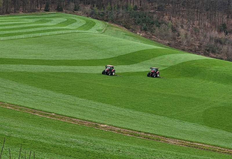 Hof_Froehling_Pferde_im_Stall_800x550px