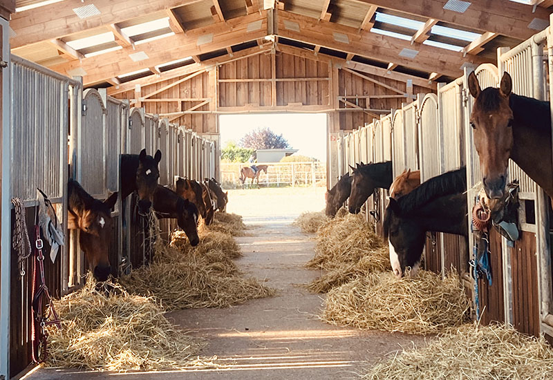 Hof_Froehling_Ferienappartement_01_800x550px