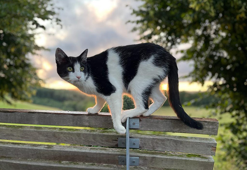 Hof_Fröhling_Impressionen_Pferdepension_29