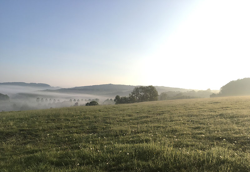 Hof_Fröhling_Impressionen_Pferdepension_18