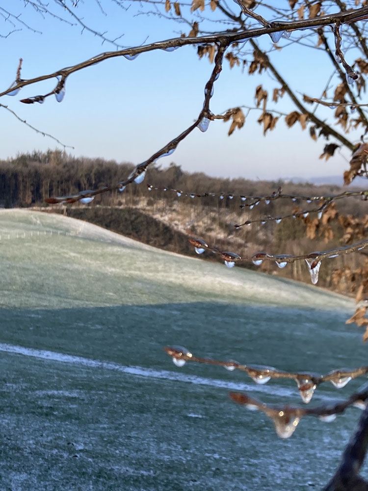 Hof_Fröhling_Impressionen_Pferdepension_20
