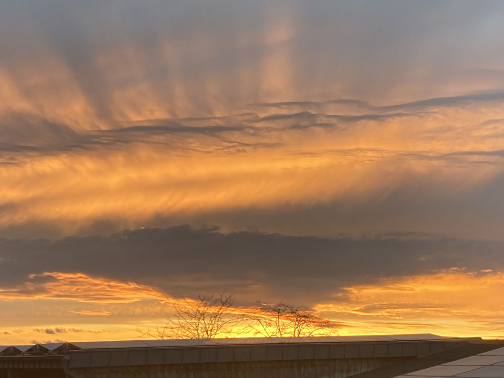 Hof_Froehling_Pferdepension_05_800x550px