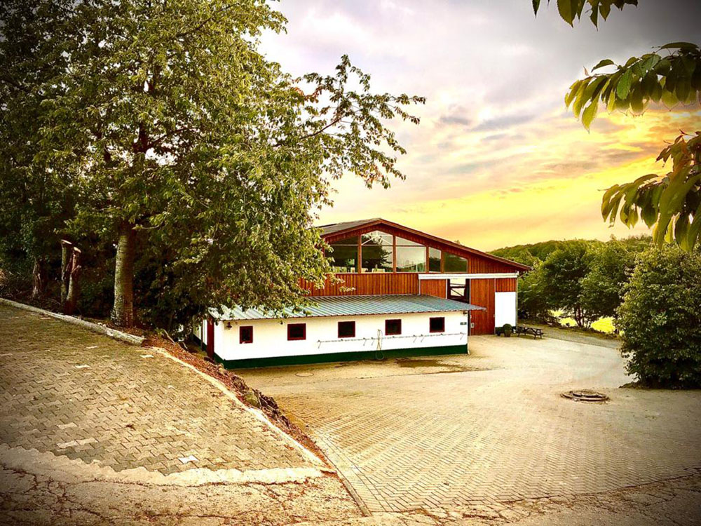 Hof_Fröhling_Impressionen_Pferdepension_22