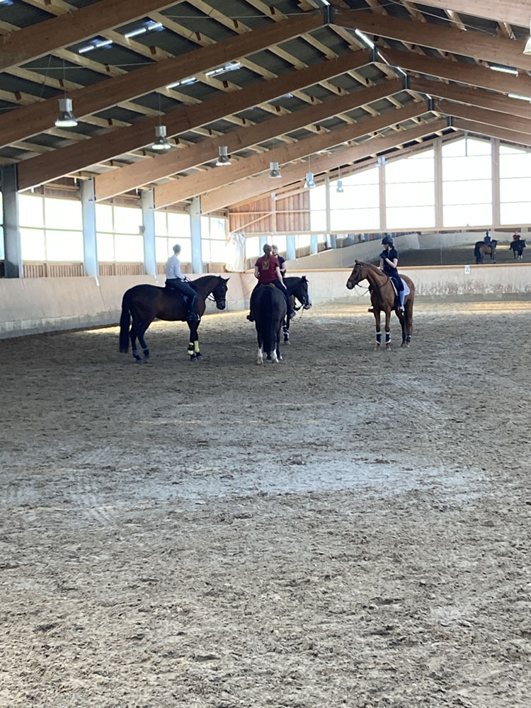 Hof_Fröhling_Impressionen_Pferdepension_06