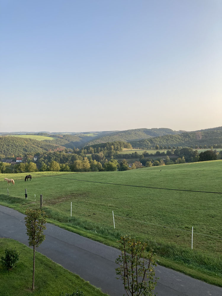 Hof_Fröhling_Impressionen_Pferdepension_09